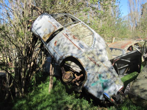 New Zealand Graveyard Car In Tree