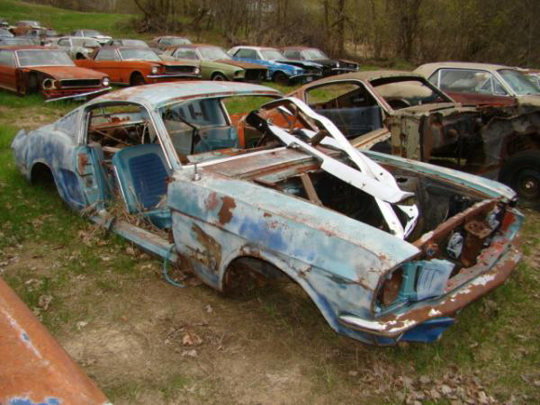 Mustang Fastbacks