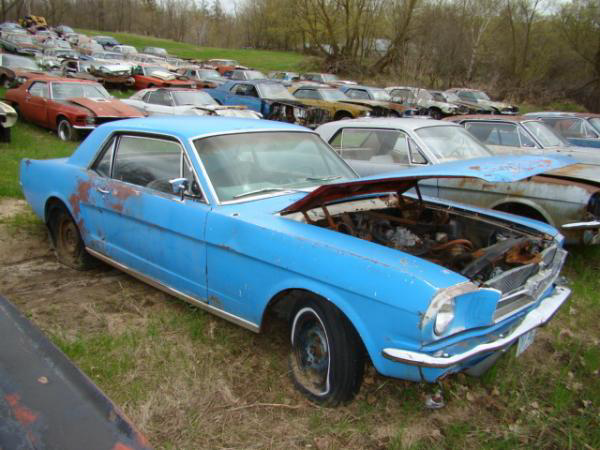 Mustang Mother Load