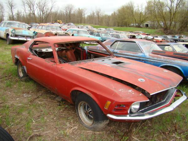 Mustang Junk Yard