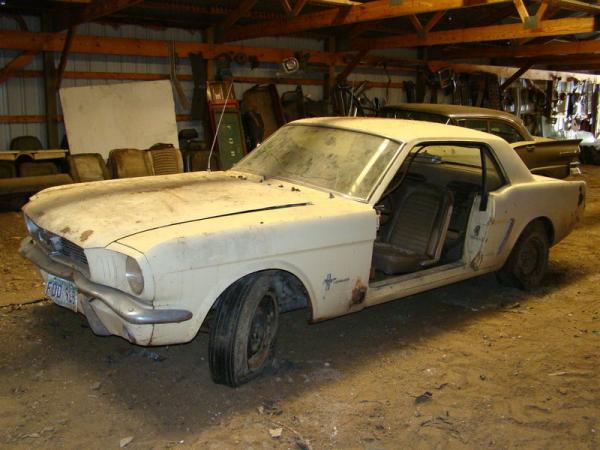 Mustang In A Barn