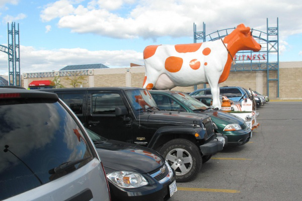 1972-ford-big-cow-truck-in-the-wild