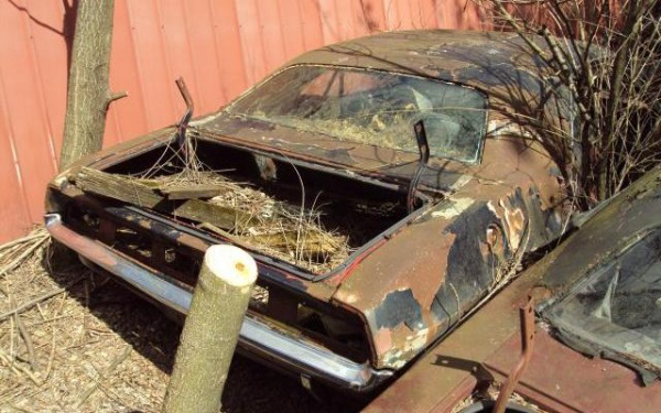 1970-Graveyard-Challenger