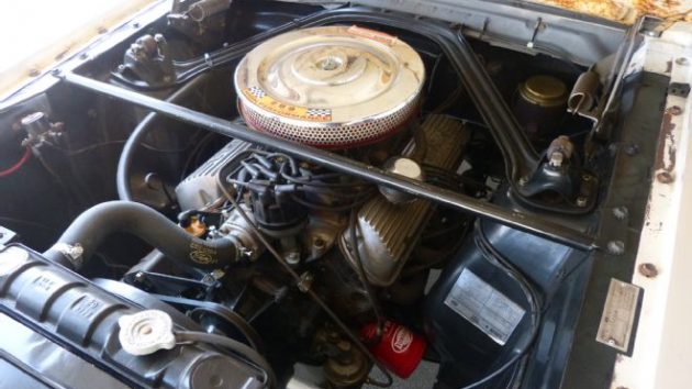 06-1965-ford-mustang-shelby-gt350-engine