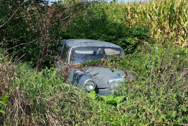 Overgrown Mercedes