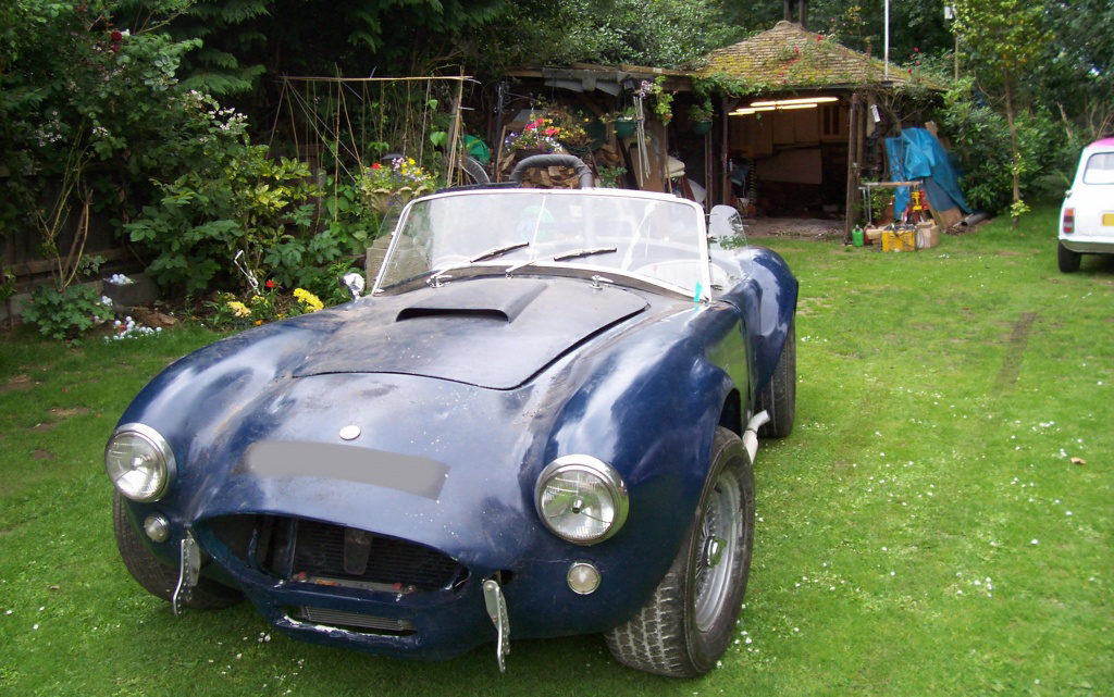 Cobra by the Barn