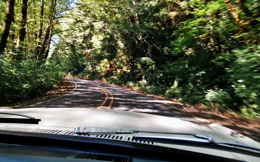 Mustang - Navigator's View